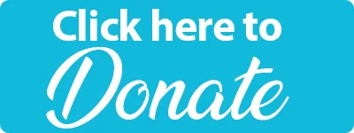 Donate to Brighton Cultural Arts Connection
