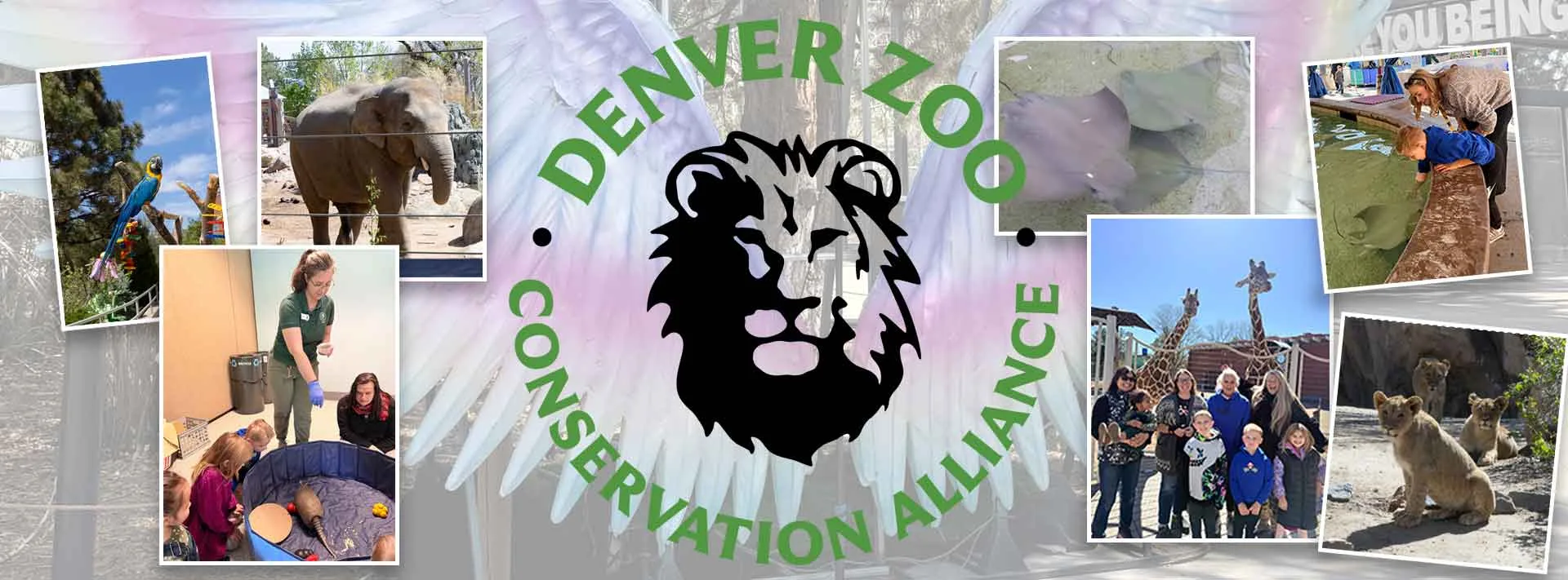 Zoo Event | Brighton Cultural Arts Connection